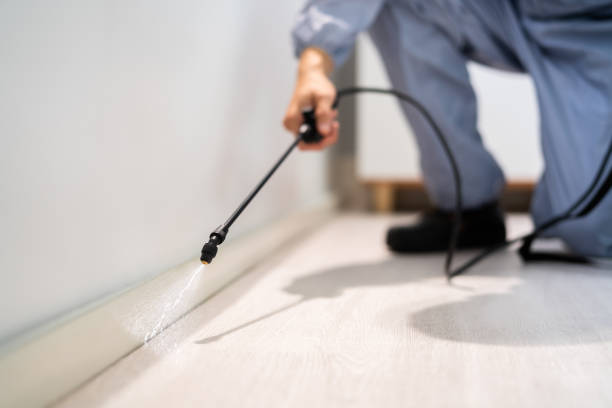 Certified termite inspector examining foundation in Coral Springs