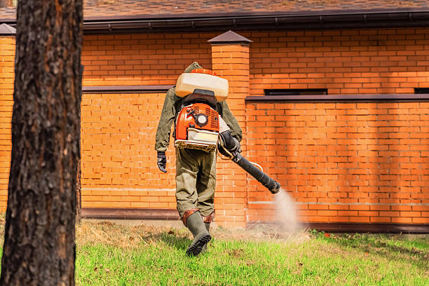 Cockroach Follow-Up and Monitoring in Coral Springs